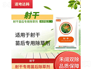 ��Ɍ��������݄�-�����_(d��)�n