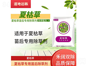 �Ŀݲ݌��������݄�-�����_(d��)�n