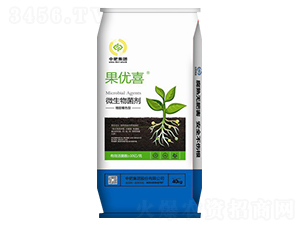 ΢�������-����(y��u)ϲ-�з�