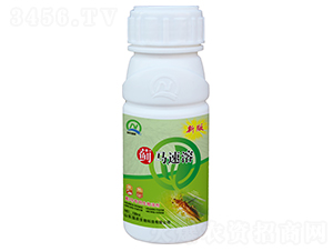 薊馬專用生物溶劑-薊馬速溶-強農(nóng)生物