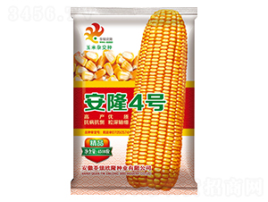 ��¡4̖-���׷N��-���y��¡