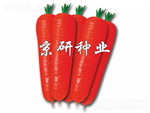 �tо90-���}���N��-����