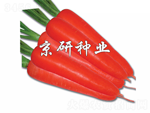 �tо105-���}���N��-����