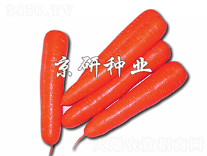 �tо120-���}���N��-����