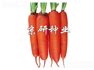 �A�u(y��)238-���}���N��-����