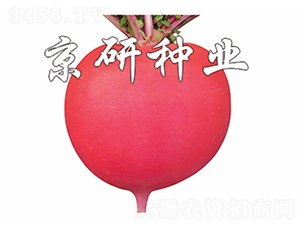 ���t4̖-�}���N��-����