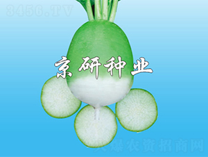 ����1̖-�}���N��-����