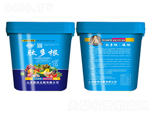 �Ķ������������ˮ�ܷ��ϣ�-��һ-ʢ�����B(t��i)