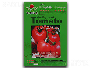 ���ѷN��-���P��1S-6F1-�M��t��