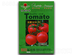 ���t���N��-���v1618F1-�M��t��