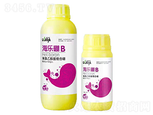 �����Ҵ����j(lu��)����-������B(y��ng)-�_��������