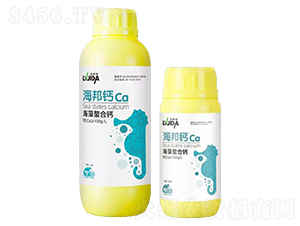 ���������}-�����}-�_��������