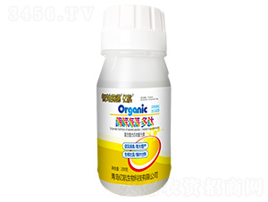 ø�⺣�塤����-�ǵ�ʩ��-�|��