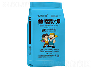 �S�����-�ǵ�ʩ��-�|��