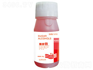 �Ǵ��F-�~����