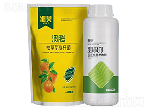 �ݲ�ѿ�ߗU��+�ӝɼt�نΰ���-���v+��(x��)ؐ-�_��������