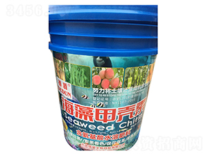 ����ך���-�¶�-��(l��)�r(n��ng)�ʘI(y��)