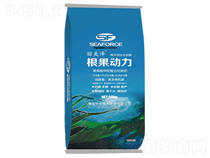 �����������{ɫ���b��-������-���r(n��ng)���