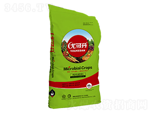 �ЙC����-�ȿɵ�-�G�󻯹�