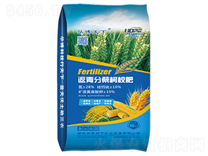 ������Y��辷�-�A������