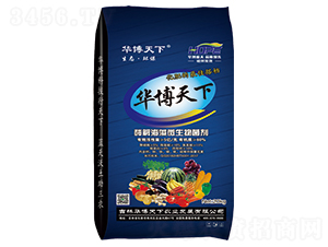 ø�⺣��΢�������-�A������