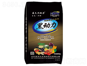 �ߝ�s��Ч����-�{(l��n)��ڄ���-�A������