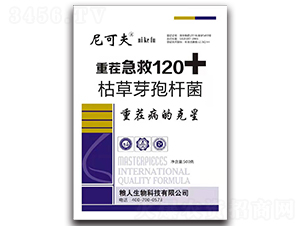 �ز缱��120-��ɷ�-��ؼZ��