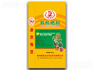 �ЙC(j��)����-�͌�(sh��)-ǭԴ���B(t��i)