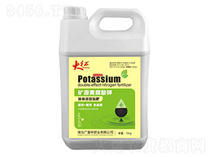 �VԴ�S�����-��t-�V����