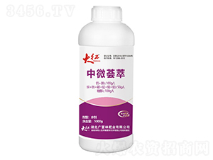 ��΢�C��-��t-�V����