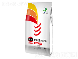 ����ʹ���Ԫ��ˮ�ܷ���13-6-36-�Z��-���ƻ���