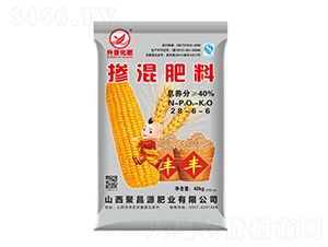 �������28-6-6-����-�S��ʘI(y��)