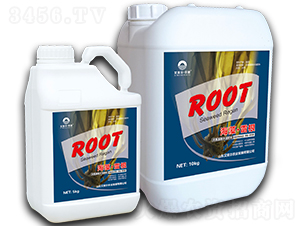 ���塤�׸�-�����������u(y��)-������