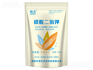 ��������-����-������