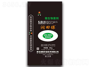 ΢�������-��(r��n)�ﱣ-���(y��ng)