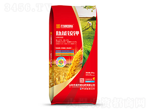 ���w������-�����@�-��Դ�_��