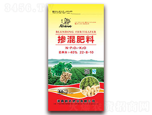 �������22-8-10-�����R-�z�̷ʘI(y��)