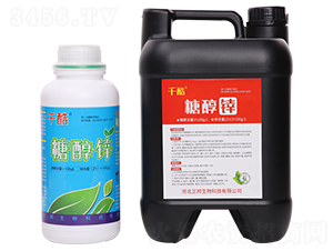 �Ǵ��\-ǧ��-�m������