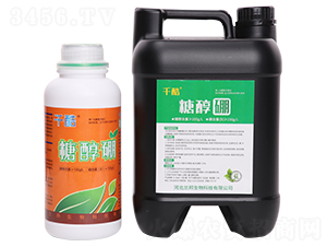 �Ǵ���-ǧ��-�m������