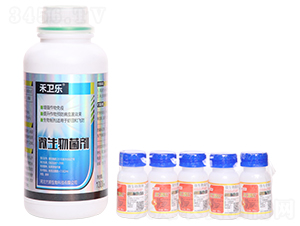 ΢�������-���l(w��i)�|-�m������