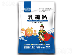 �����}-��ڌ�-�{���r(n��ng)�I(y��)