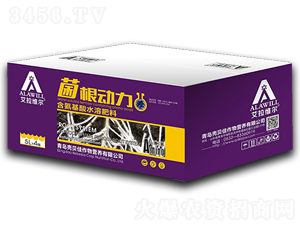 ����������5L��-�����S��-��ؐ��