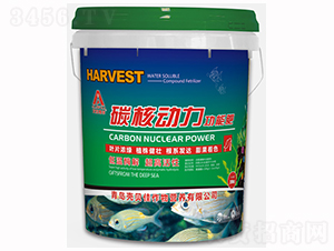 ̼�˄������ܷ�-�����S��-��ؐ��