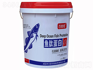 �~�ĵ���-����ķ-��ؐ��