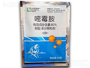 80%��ù��-�r(n��ng)���ټ�-���S�r(n��ng)�I(y��)