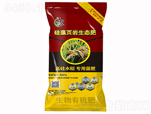 �����(y��)�r���B(t��i)�ʣ��߹�󶹌��÷ʣ�-�����r(n��ng)�I(y��)