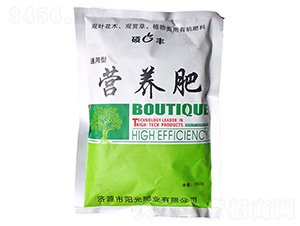 ͨ���͠I(y��ng)�B(y��ng)��-�T�S-�(y��ng)��ʘI(y��)