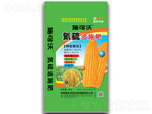 ����׷ʩ��-ʩ����-���S�r(n��ng)��