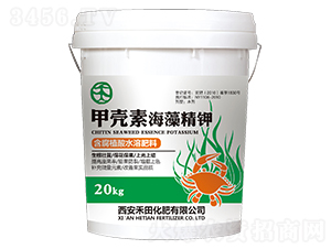 �ך��غ��徫�-����