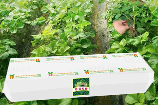 ��ݮ���|(zh��)�Nֲ��-���